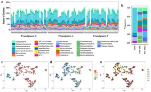 Meander-bound Floodplains as a Scaling Motif for understanding how the Soil Microbiome influence Watershed Biogeochemical Cycles
