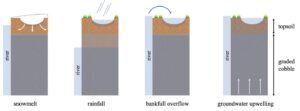 Small Landscape Features Transform Nitrogen Flowing Through Floodplains