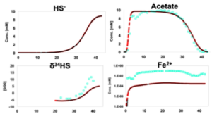 A benchmark problem for simulating kinetic isotope fractionation