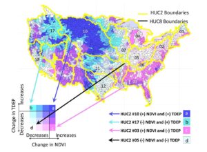 Hysteresis Patterns of Watershed Nitrogen Retention and Loss