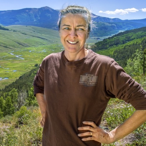 Jill Banfield