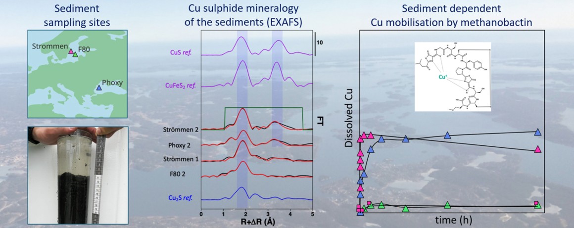 A graph of different minerals AI-generated content may be incorrect.