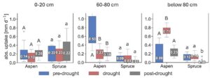 Opportunistic Water Uptake Reveals Aspen's Drought Resilience Mechanism